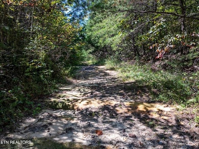 0 Tiffany Ln unit 239598, Jamestown, TN 38556 - photo 6