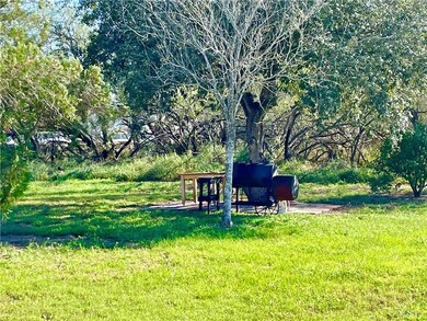 1615 Earling Rd, Donna, TX 78537 - photo 7