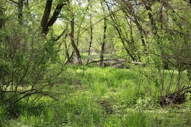 26 AC Hubred Ln, Cottage Grove, WI 53521 - photo 2