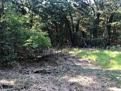 9201 Private Road 5204, Athens, TX 75751 - photo 2