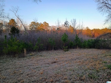 00 Comerdale Rd, Sylacauga, AL 35150 - photo 2