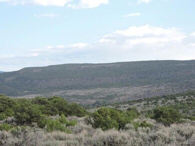 3788 Regan Place, Fort Garland, CO 81133 - photo 7