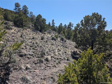 Lot 4425 Clausen Rd, Fort Garland, CO 81113 - photo 5