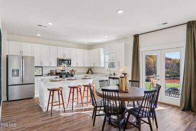 228 Chimney View Loop, Blountville, TN 37617 - photo 5