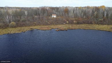 TBD 170th Place, McGregor, MN 55760 - photo 5