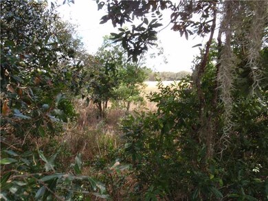 Land/Lot
