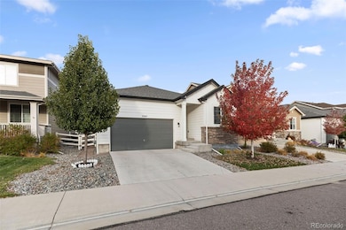 5347 Gray Wolf Ln, Castle Rock, CO 80104 - photo 3
