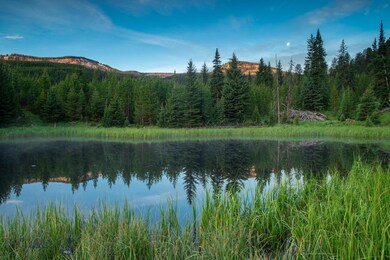 Lot 7 Bear Paw Ponds, Big Sky, MT 59716 - photo 7