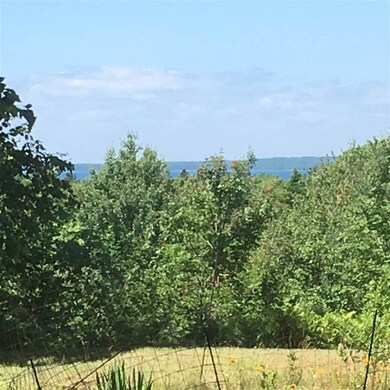 34715 Buff-Malloy unit Lots 1 & 2, Beaver Island, MI 49782 - photo 4