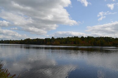 Parcel B Walleye Way, Tomahawk, WI 54487 - photo 5