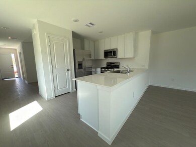 2507 American Ruby Dr, Rosharon, TX 77583 - photo 4