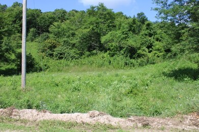 0 Hidden Valley Dr N, Omaha, AR 72662 - photo 4