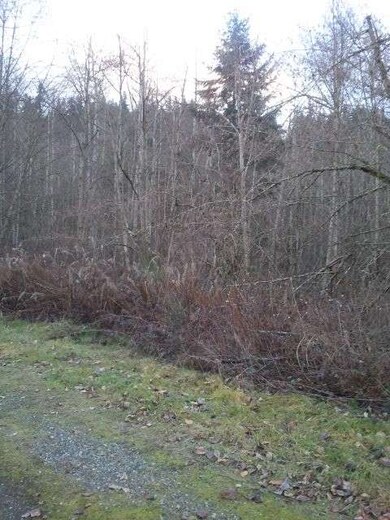 930 Daffodil Ave NE, Orting, WA 98360 - photo 4