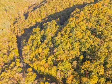 Lot 39 Brush Creek Mountain Rd, Bryson City, NC 28713 - photo 3