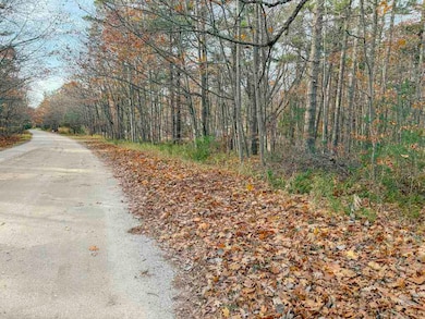 TBD Mcdonough Rd, St. James, MI 49782 - photo 2