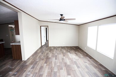 4211 Mimosa St, Carlsbad, NM 88220 - photo 4