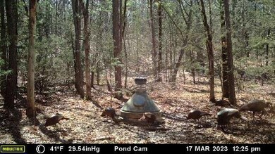 Tract 2 Benson Ln, Heavener, OK 74937 - photo 4