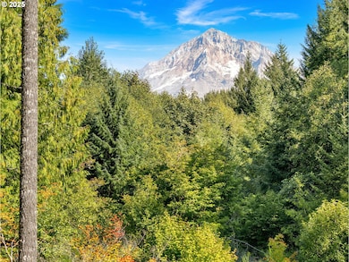 20497 E Lolo Pass Rd, Rhododendron, OR 97049 - photo 4