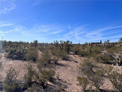 Level property with Joshua Trees all over