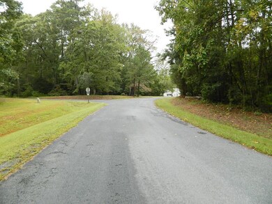 Wilsonia Shores Drive