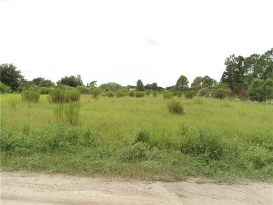 35315 Broken Bit Ln, Zephyrhills, FL 33541 - photo 4