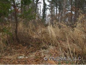 0 W Chapel Rd, Asheville, NC 28803 - photo 2