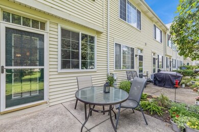 7412 Grandview Ct unit 196, Carpentersville, IL 60110 - photo 3