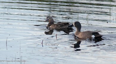 Lo res SF SB_0553