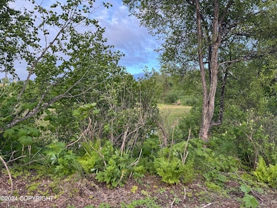 000 Wik Rd, Nikiski, AK 99611 - photo 4