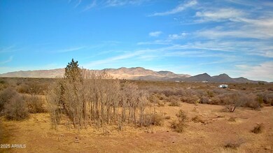 Mule Mountain Views