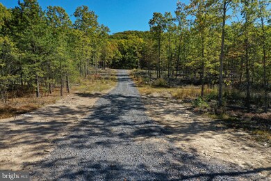 0 Deep Spring Rd unit WVGT103044, Dorcas, WV 26847 - photo 4