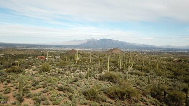 Broken Spring 1-30-19 (13)