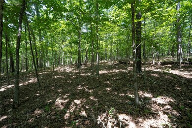 1103 Brown Bear Trail, Flint Creek, OK 74347 - photo 6