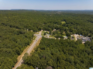 0000 Highway 52 unit 12-6-13-0-000-021.00, County, AL 35080 - photo 6