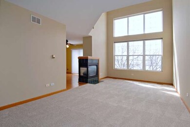 3827 Petra Ct unit 1, Naperville, IL 60564 - photo 3