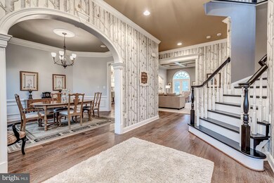 18638 Wild Raspberry Dr, Purcellville, VA 20132 - photo 5