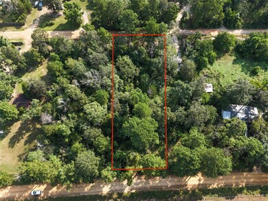 TBD Ole Long Pull Rd, Livingston, TX 77351 - photo 4