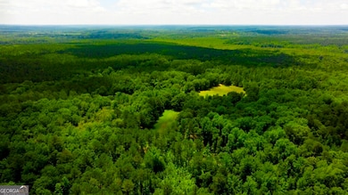 1230 Agricola Rd, Mitchell, GA 30820 - photo 7