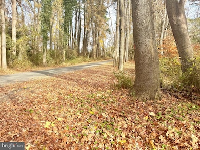 0 Cottman Rd, Allen, MD 21810 - photo 2