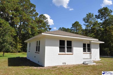 9002 Huggins Lake Ct, Nichols, SC 29581 - photo 5