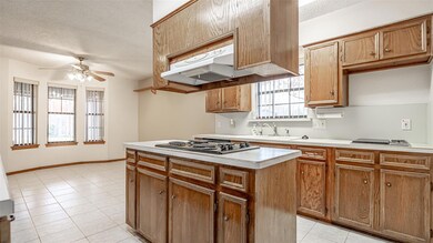 3716 Indian Creek Trail, Granbury, TX 76049 - photo 7