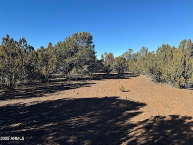 #5 Skyline Ranch -- unit 5, Vernon, AZ 85940 - photo 7