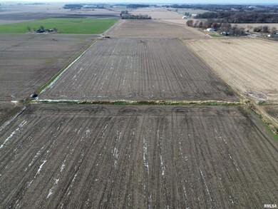 000 County Road 700 E, Mount Carmel, IL 62863 - photo 6