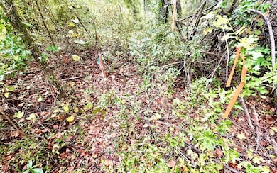 0 135th Ct Lot 18, Obrien, FL 32071 - photo 3
