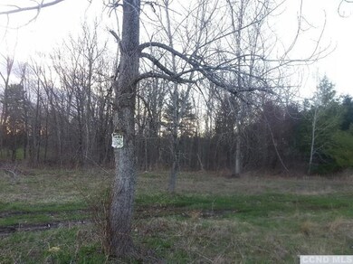 811 van Hoesen Rd, Castleton On Hudson, NY 12033 - photo 2