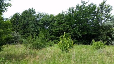 NICE BACKDROP OF MATURE TREES