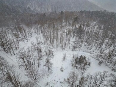 Lot 2 Mason Hill N, Starksboro, VT 05487 - photo 4
