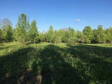 0 Concord Rd unit 219044564, Powell, OH 43065 - photo 2