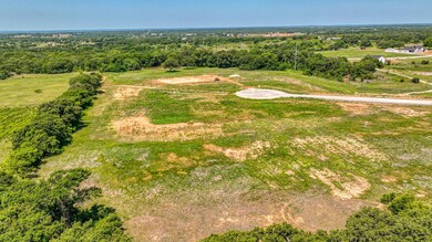 Lot 40 Leo Ln, Poolville, TX 76487 - photo 4
