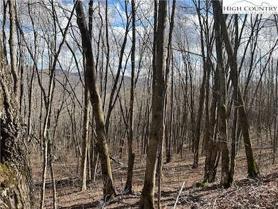 7 Woodfern Way, Todd, NC 28684 - photo 5